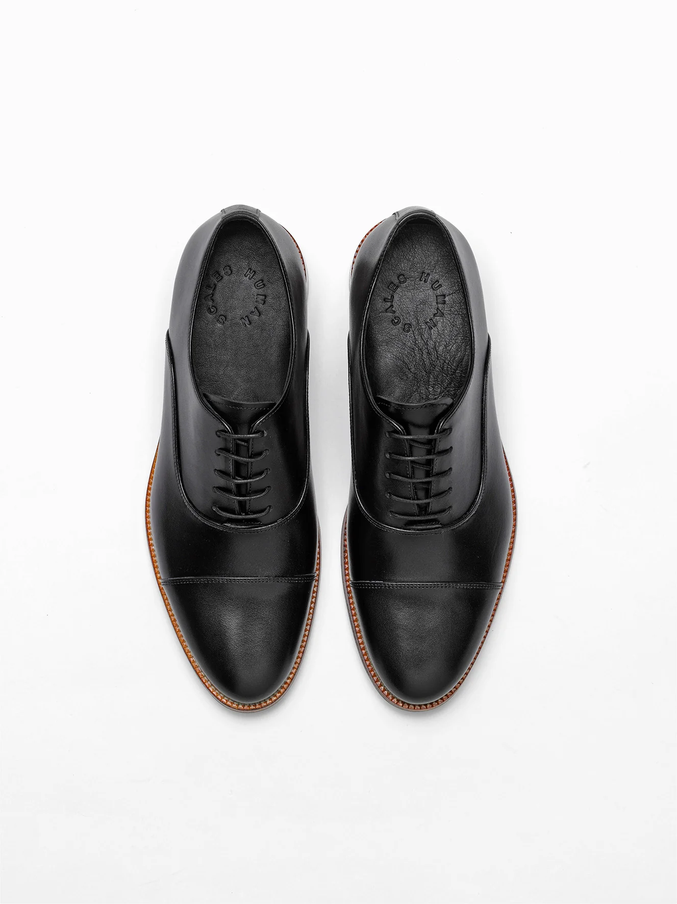 Bruno Black - Image 3